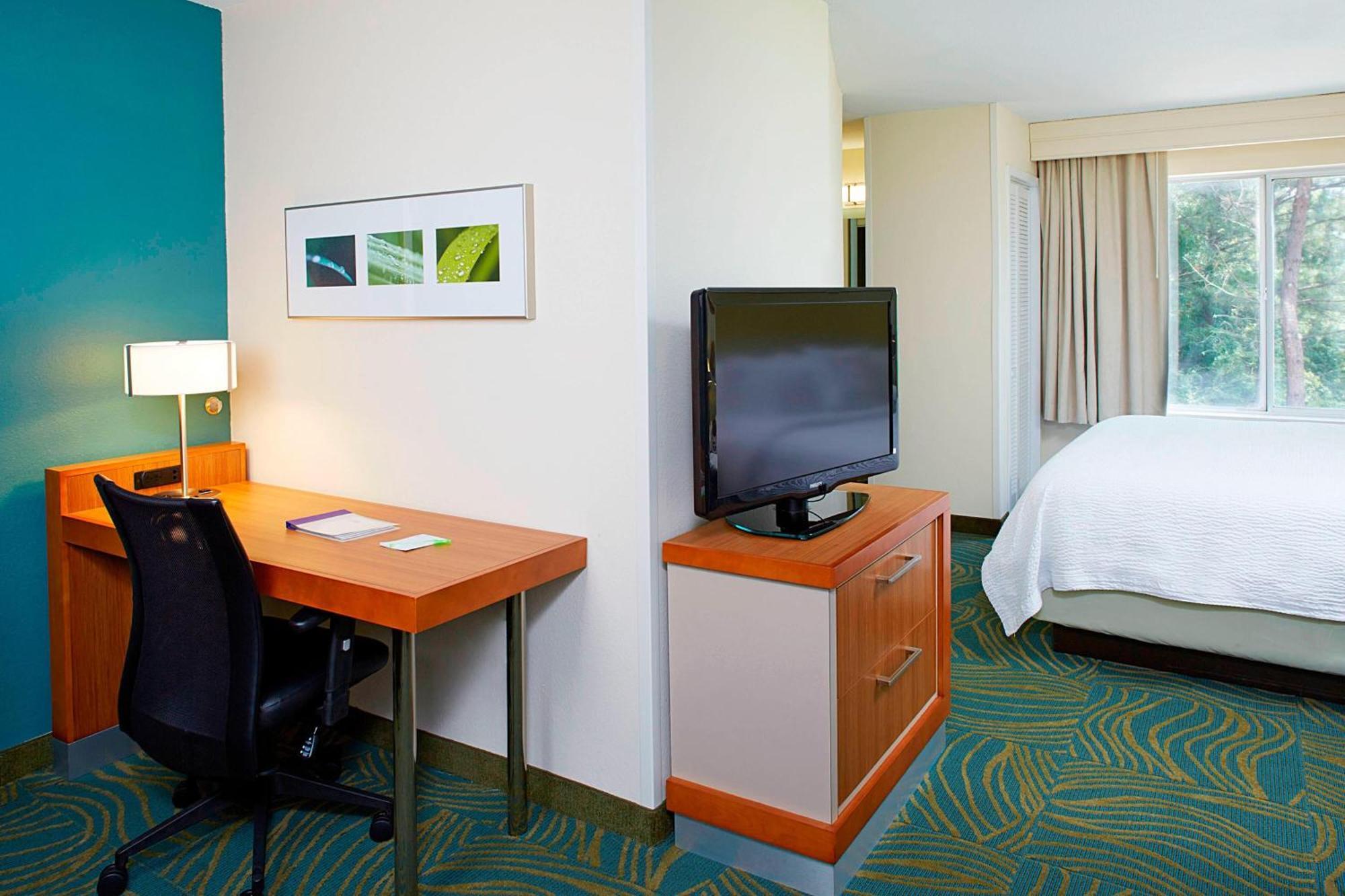 Springhill Suites By Marriott Atlanta Six Flags Lithia Springs Buitenkant foto
