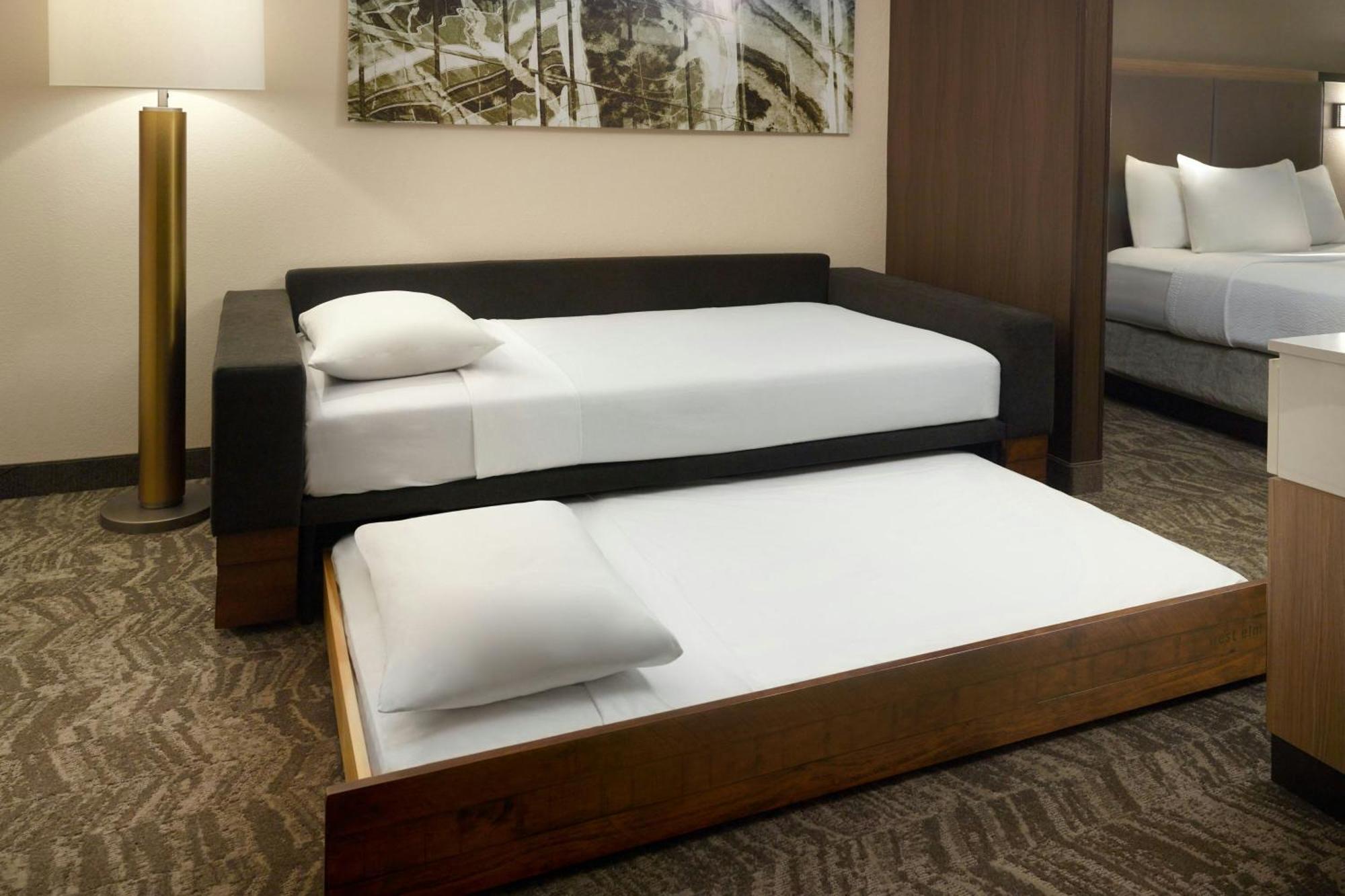 Springhill Suites By Marriott Atlanta Six Flags Lithia Springs Buitenkant foto